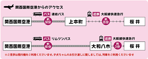 関西国際空港